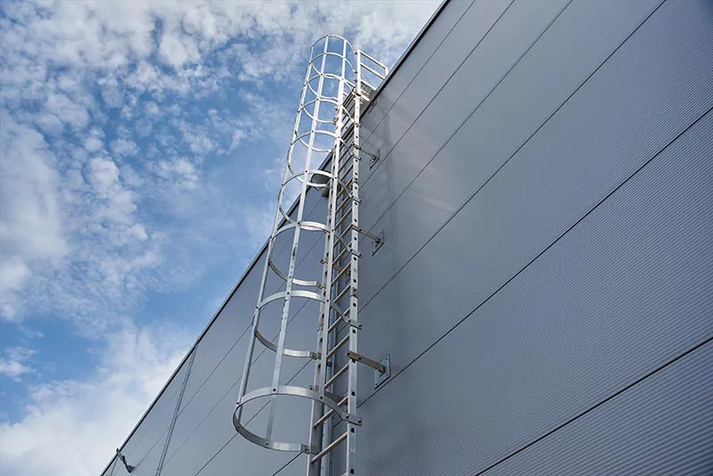 ladder with safety cage on modern building
